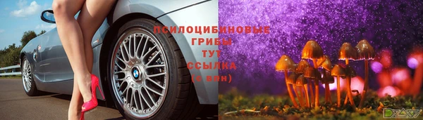 a pvp Беломорск