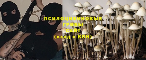 спайс Белоозёрский